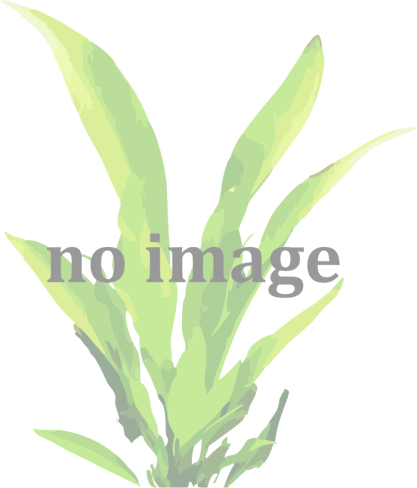 Mix rostlin (modrý štítek)